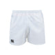 SHORT PROFESSIONNEL EN POLYESTER
