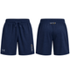 Men’s shorts Pantheon