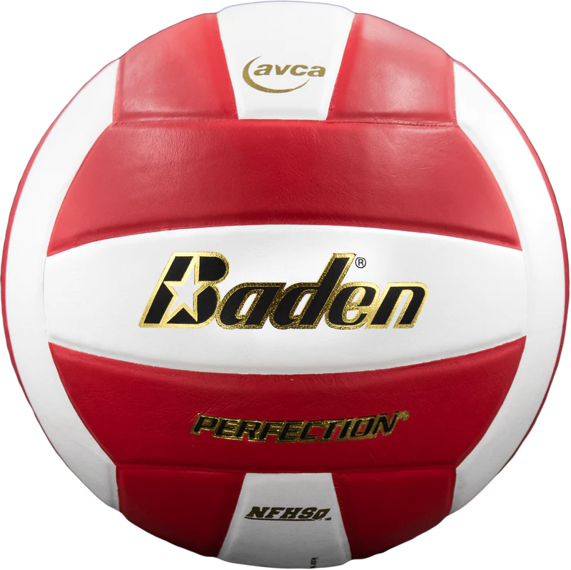 BADEN PERFECTION LEATHER VOLLEYBALL