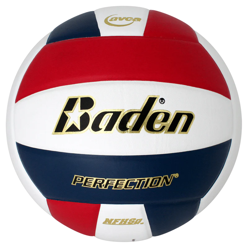 BADEN PERFECTION LEATHER VOLLEYBALL