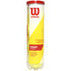 BALLES DE TENNIS WILSON EXTRA DUTY CHAMPIONSHIP (X4)